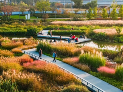 秋光為伴，我們與張村河共繪新景